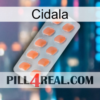 Cidala 26